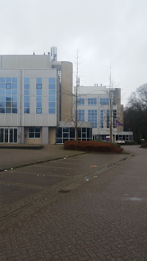 Bonweg - Visual