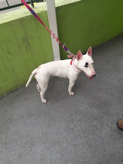 Photos of Veterin&aacute;ria Chav&atilde;o