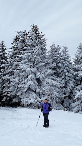 Parcheggio rifugio I Diacci e Cannova - Thumbnail