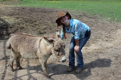 French Broad Outpost Dude Ranch