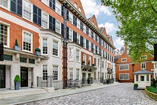 Domovoi Management Ltd