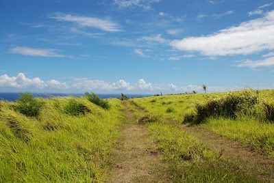 Waimea