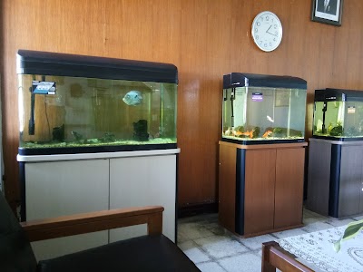 Aquarium