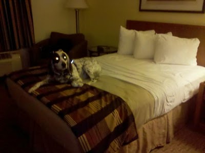 Photos of Days Inn Oglesby/ Starved Rock