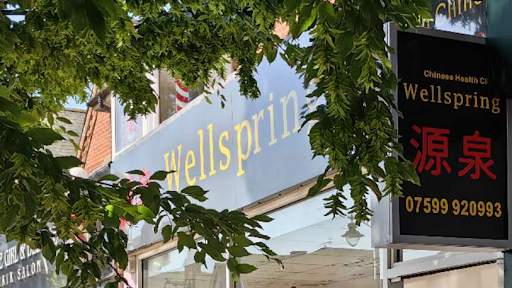 Wellspring Chinese Massage