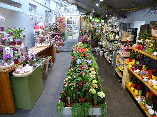 Eliflora Flower & Gardening GmbH - Thumbnail