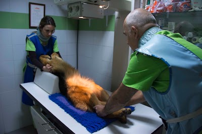 Photos of Dovet Veterinary Clinic