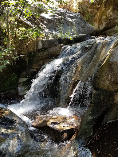White River - Visual