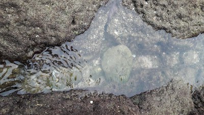 Photos of Faro de Punta Blanca