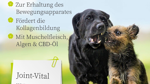 Reico Berater Vertrieb Stefanie Dörlitz