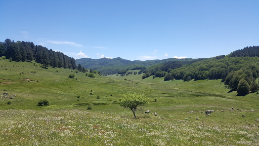Valle del Tacina