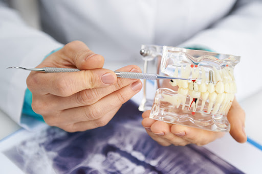 Powell Valley Dental Gallery - United States