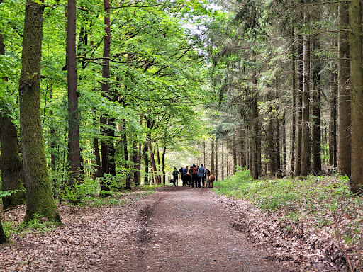 Spessart Blick - Thumbnail