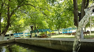 Aşağısutası köyü Laçinler alabalik tesisi