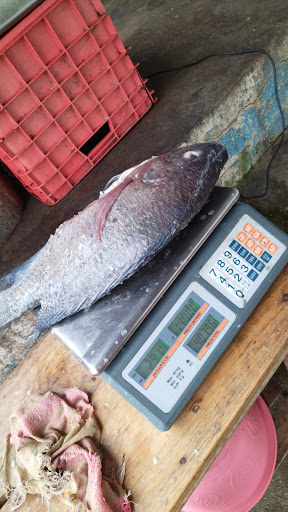 Pescaderia chable - Visual