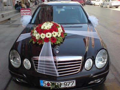 Photos of &Ccedil;iğdem &Ccedil;i&ccedil;ek&ccedil;ilik