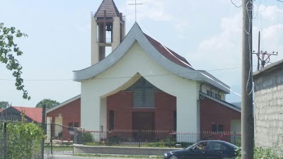 Kisha e Berdices, Shkodër