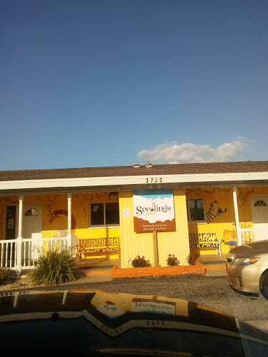 Seedlings Academy - Visual
