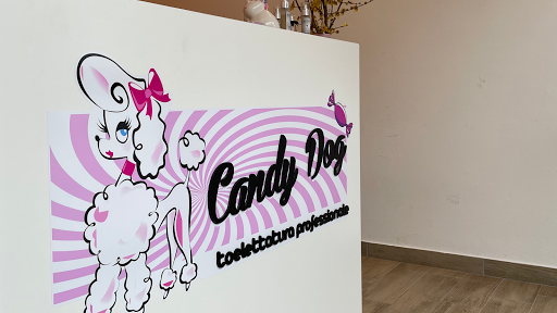 CandyDog
