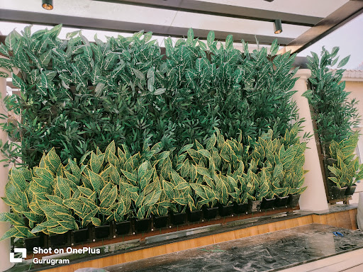 Artificial Green Wall Set-up In Delhi post image