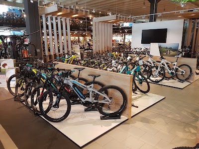 Photos of Fahrrad XXL Fahrrad Franz GmbH