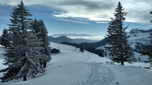 Huberalm - Visual