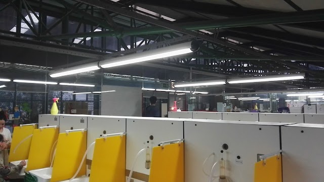 Terme Della Salvarola