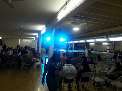 Photos of M&eacute;dica Campestre