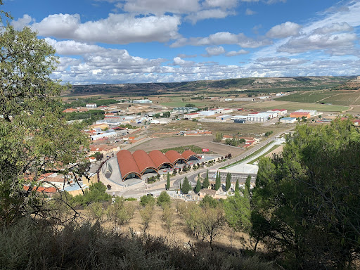 Ruta del Vino (Peñafiel) Gallery - Spain