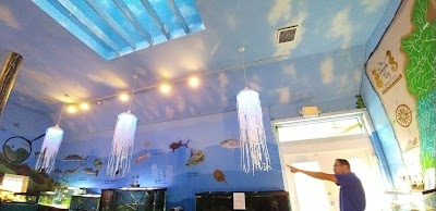 Glen Echo Park Aquarium