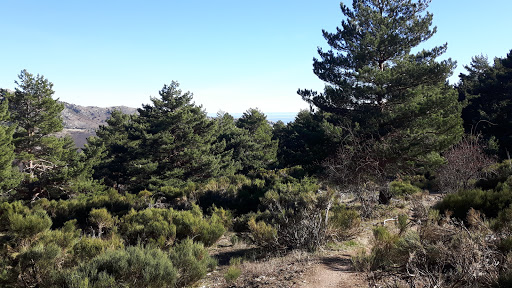 Monte Perímetro de Aguirre - Thumbnail