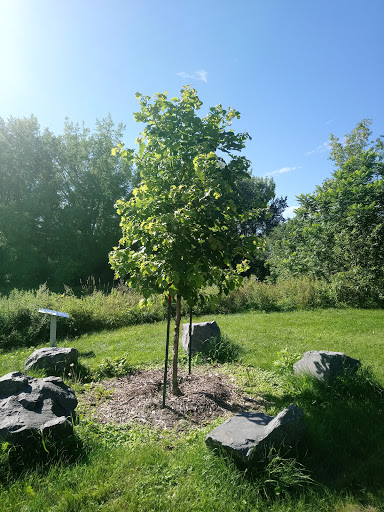 Frayère Park - Visual