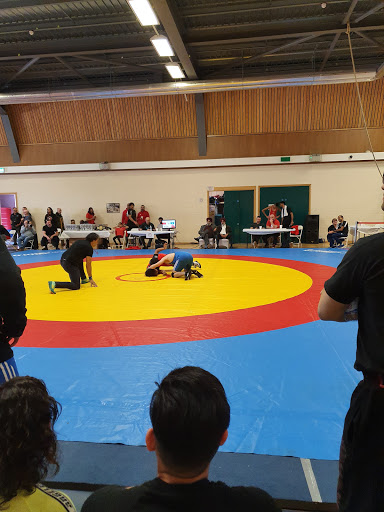 Singh Sabha Slough Sports Centre - Thumbnail