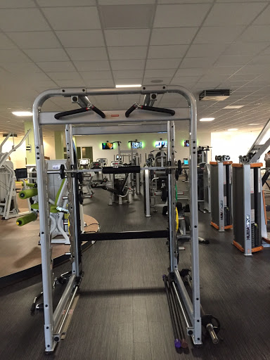 Ladies Fitnessland - Thumbnail