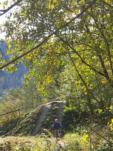 Mountainbike Parcour Alpirsbach - Thumbnail