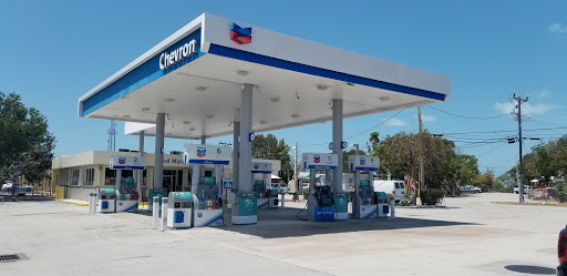 Chevron Tavernier - Visual