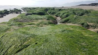 Photos of Carpinteria State Beach