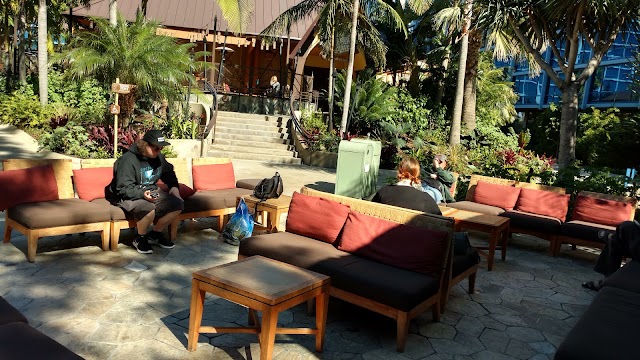 Place around image