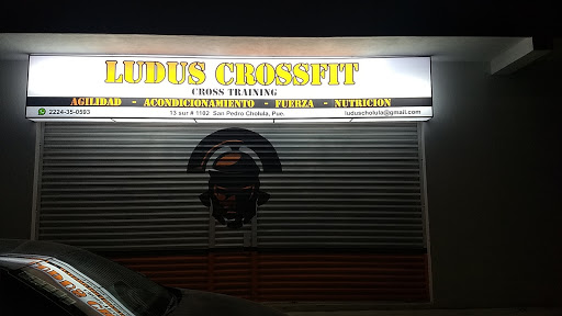 Ludus Crossfit - Thumbnail