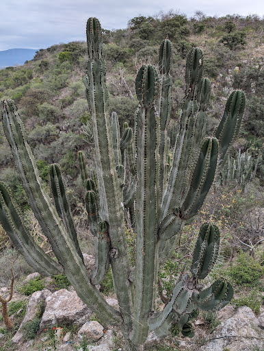 Ecoturístico Agua Caliente Park - Thumbnail