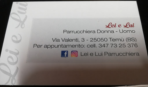Daniela gregorini - Visual
