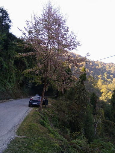 Gallery image 181
