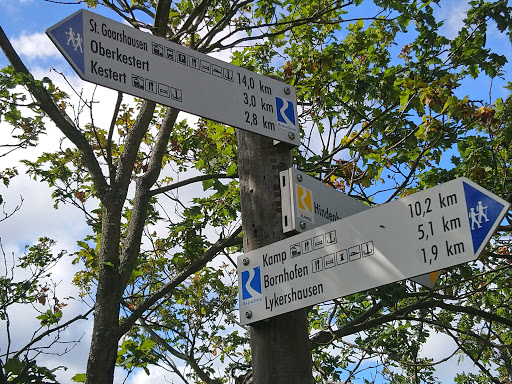 Hindenburghöhe (300 m) - Thumbnail
