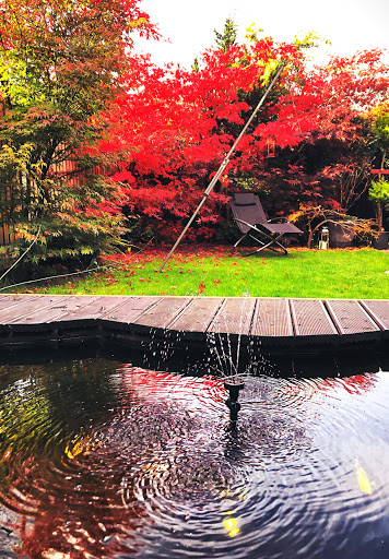 Essington Home & Gardens Gallery - United Kingdom