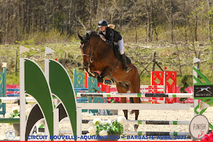 Photo n°14 de Écuries du Fiton à Vic-Fezensac (Centre équestre)