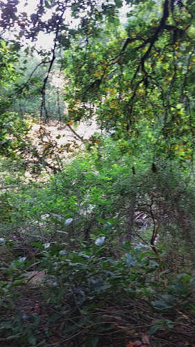 Saltos Del Itata - Camping