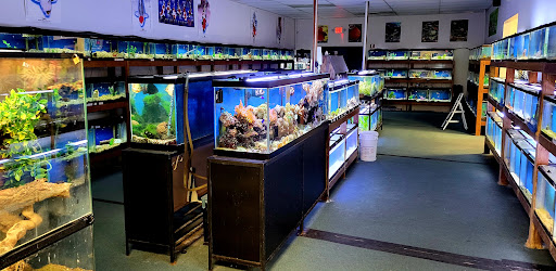 Island Pet Center - Thumbnail