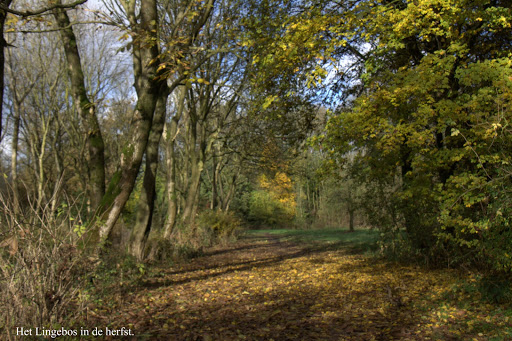 Toeristisch Overstappunt Gorinchem - Thumbnail
