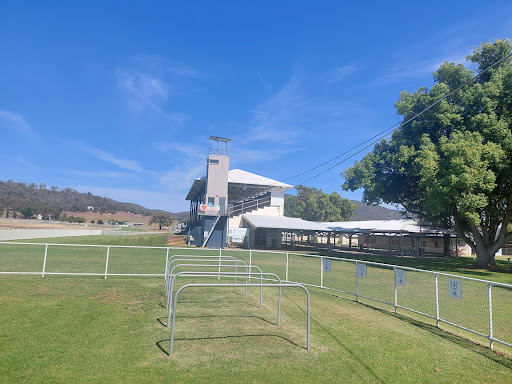 Wellington Race Club Logo