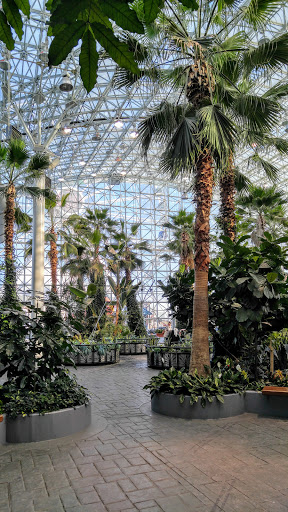 Uber Navy Pier West - Thumbnail